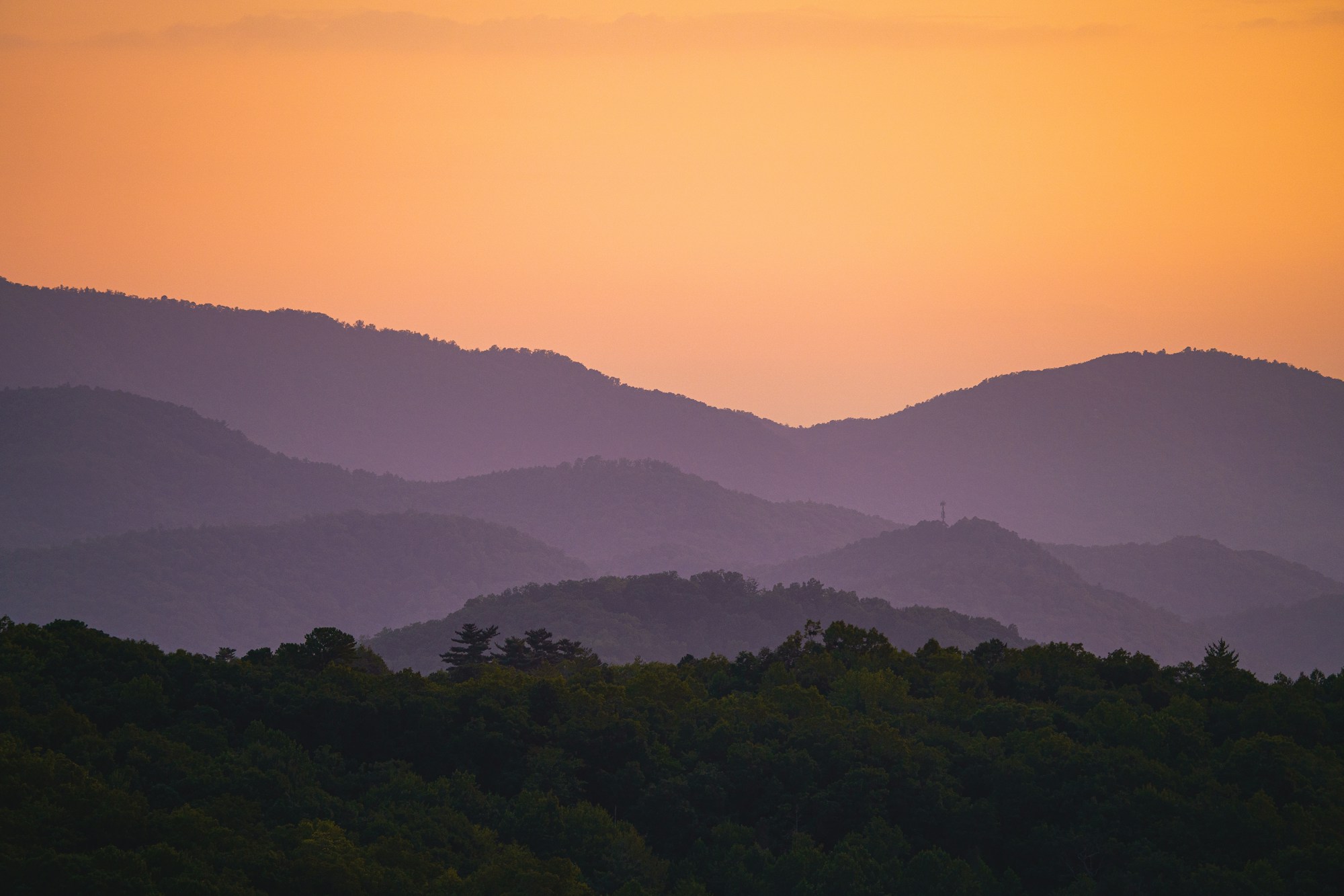 Layers of forested ridges in the Great Smoky Mountains